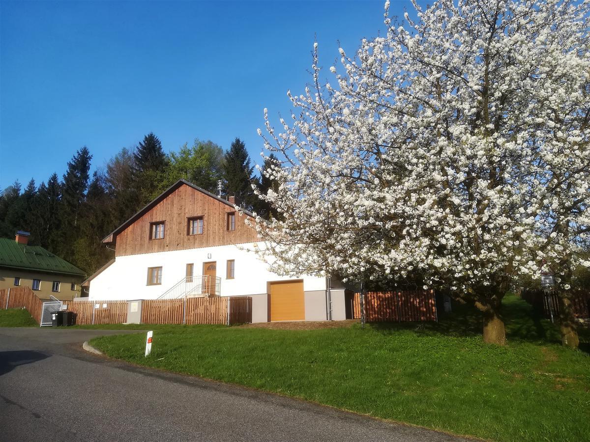 Haus Tolstejn Lejlighed Jiřetín pod Jedlovou Eksteriør billede